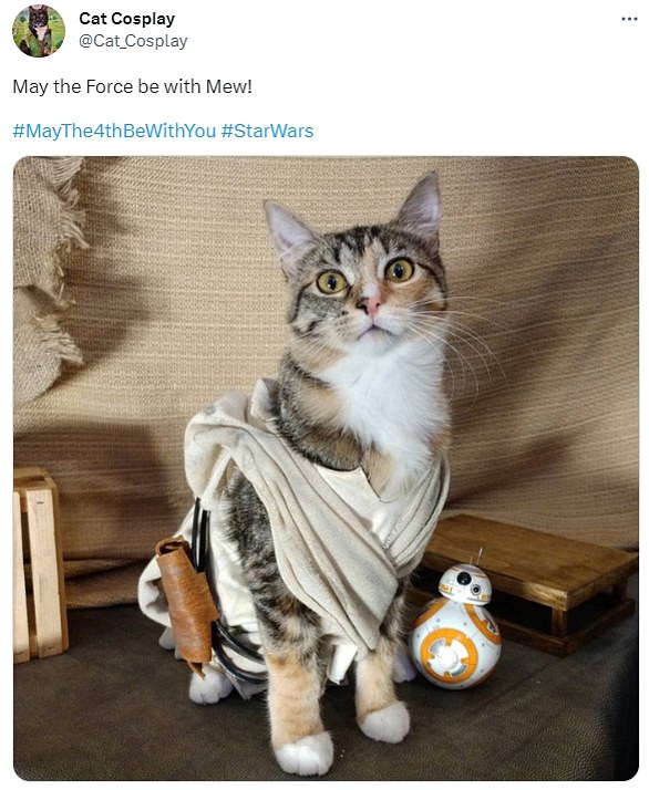 Y mientras muchos fanáticos tuitean memes, otros simplemente recurren a las redes sociales para desearles a los amantes de Star Wars un feliz 4 de mayo.