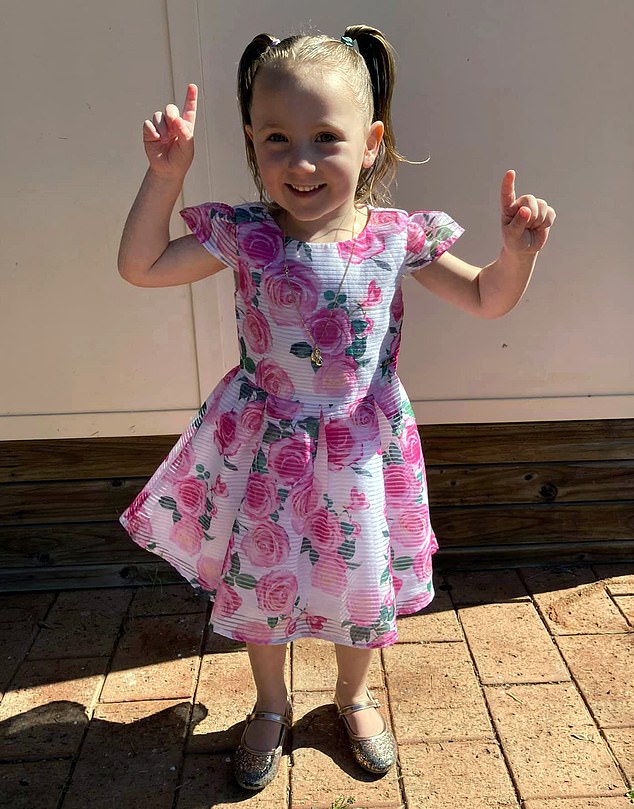 El caso de secuestro de la hija de Ellie, Cleo, llegó a los titulares internacionales cuando la niña de cuatro años fue secuestrada de una tienda de campaña mientras dormía con su familia en un campamento cerca de Carnarvon, aproximadamente a 960 km al norte de Perth, el 16 de octubre de 202.