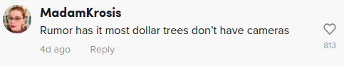 cámara falsa del árbol del dólar