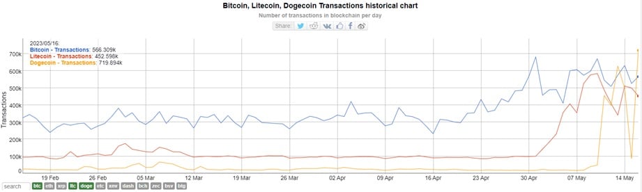 El gráfico muestra el crecimiento del número de transacciones en la red Dogecoin durante mayo de 2023, en contraste con el número de transacciones en Litecoin y Bitcoin.