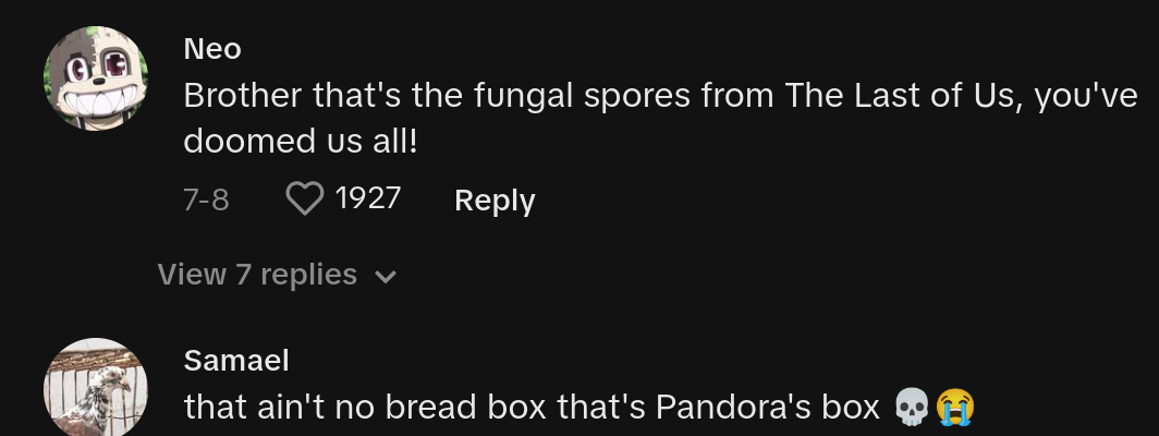bread box spores