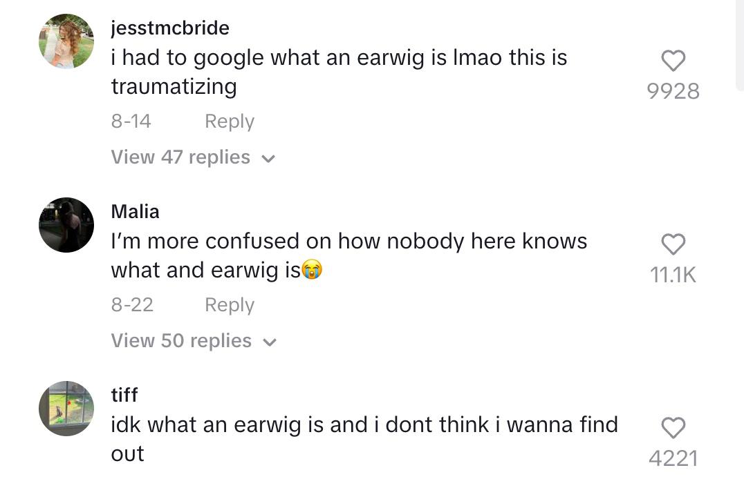 tiktok comment earwig