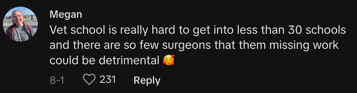 TikToker @megantheeswiftie commented, "Vet school is really hard to get into less than 30 schools, and there are so few surgeons that them missing work could be detrimental 🥰"