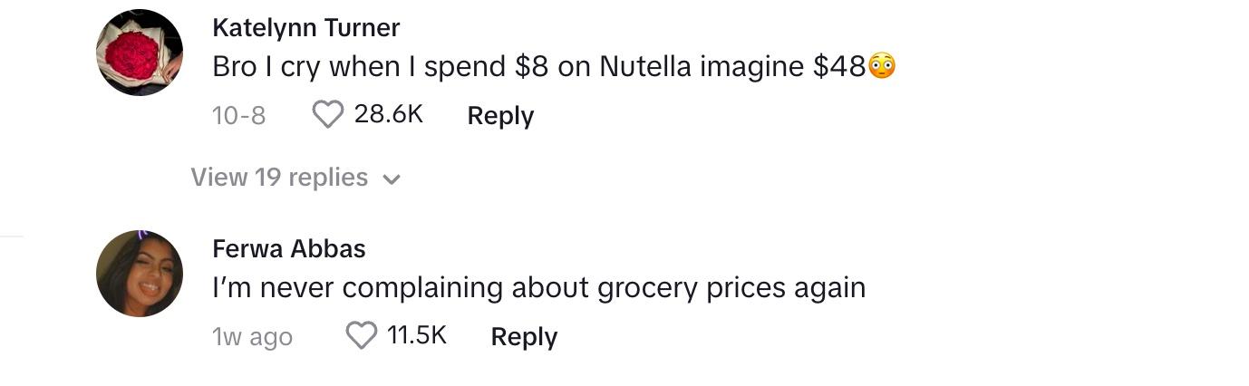 tiktok comment artic grocery prices